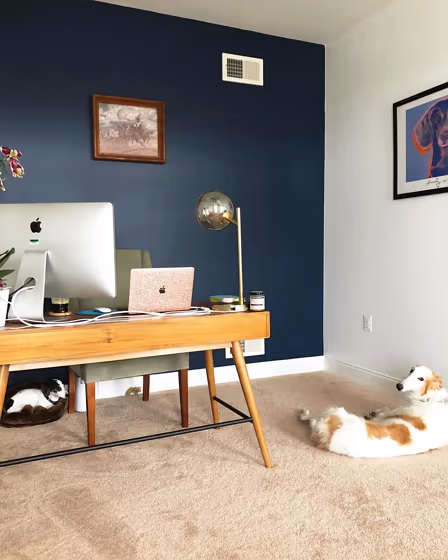 Behr Polar Bear 75 living room