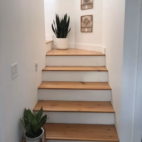 Behr Polar Bear 75 stairs