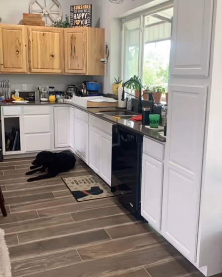 Behr Polar Bear 75 kitchen cabinets