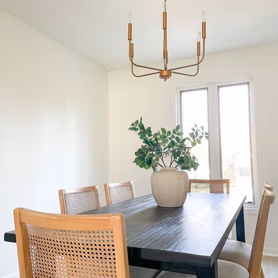 Sherwin Williams Pure White Paint