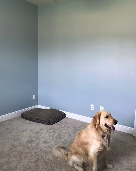 Kids room makeover Sherwin Williams Rain