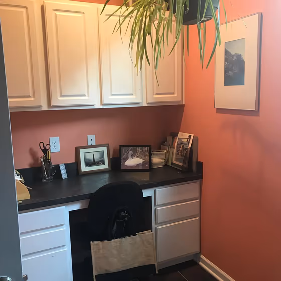 Ravishing Coral Wall Paint