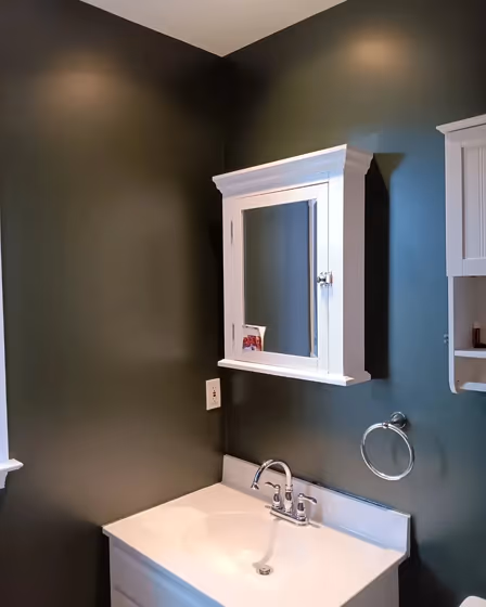 SW 6209 bathroom paint