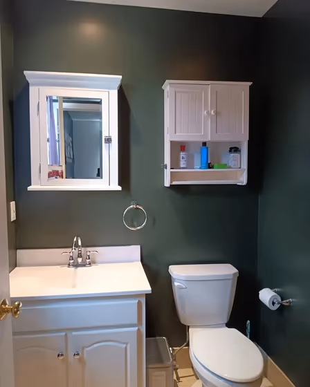 SW 6209 bathroom paint review