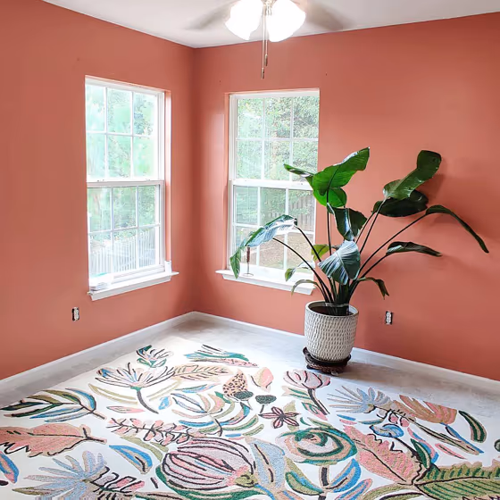 Sw Rojo Dust Living Room Walls