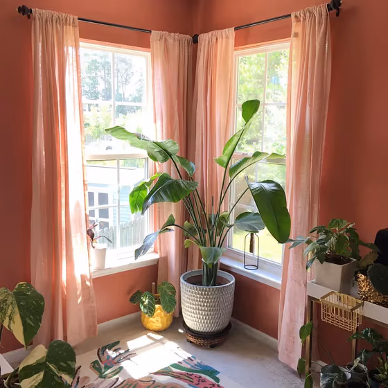 Rojo Dust Living Room Paint