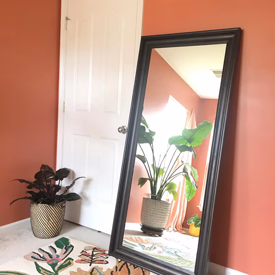 Sw Rojo Dust Living Room Review