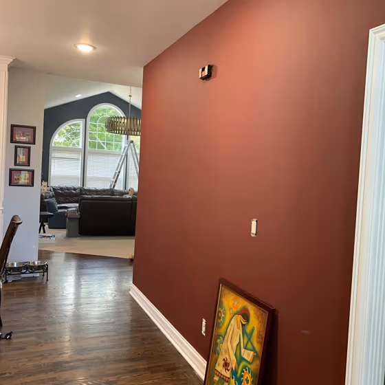 Sw rookwood red accent wall