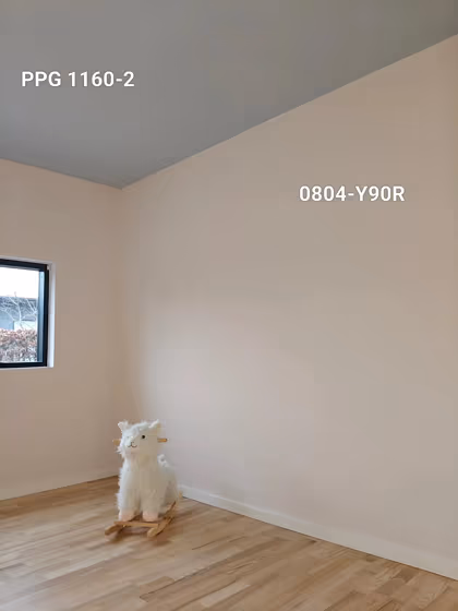 NCS S 0804-Y90R wall paint 