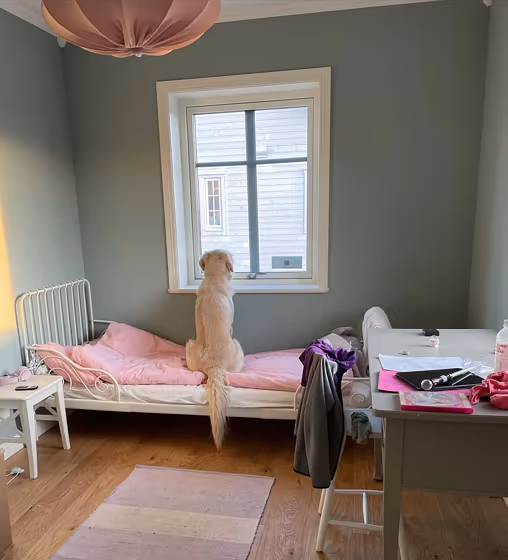 NCS S 3005-G20Y kids' room paint