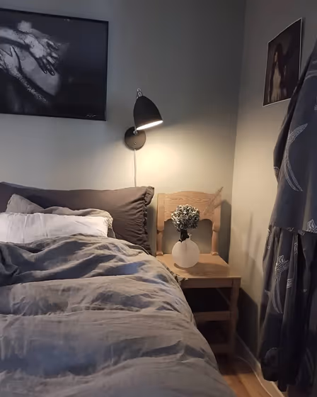NCS S 3005-G20Y bedroom paint review