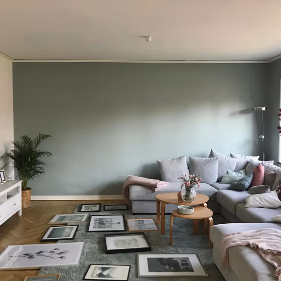 NCS S 3005-G20Y living room accent wall