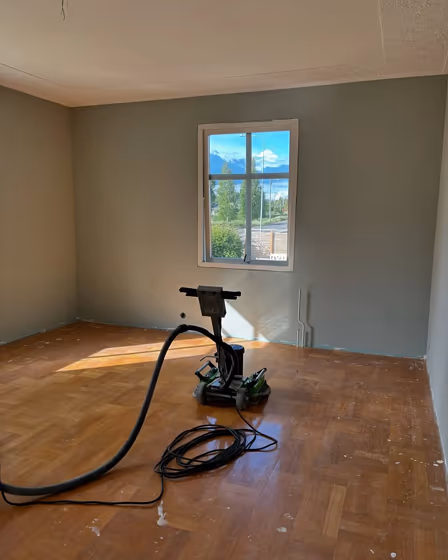 NCS S 3005-G80Y wall paint review