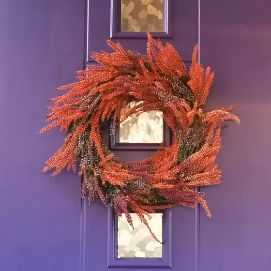 NCS S 5040-R60B front door paint review