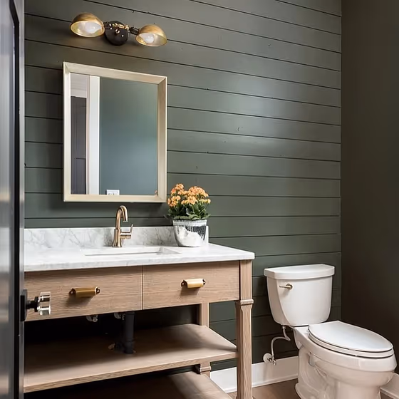 Sherwin Williams Shade-Grown bathroom interior
