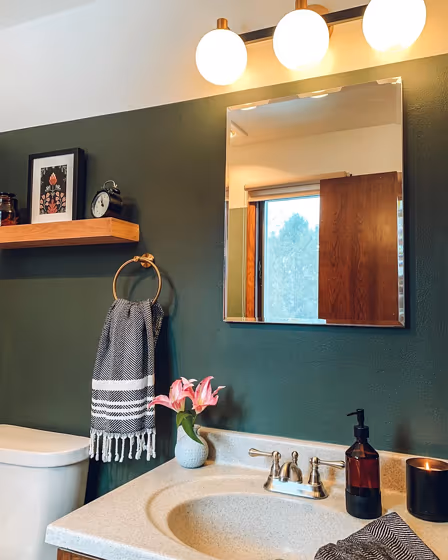 SW Shade-Grown bathroom paint review