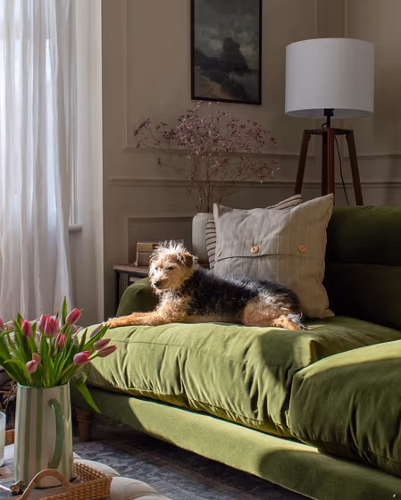 Farrow and Ball Shaded White 201 living room fireplace