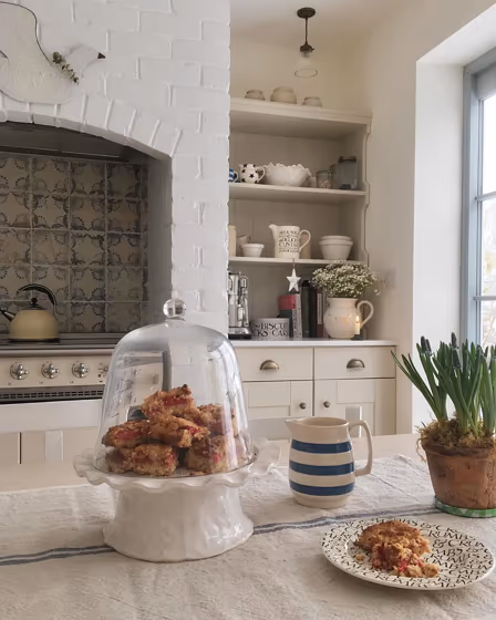 Farrow and Ball Shaded White 201 kitchen cabinets