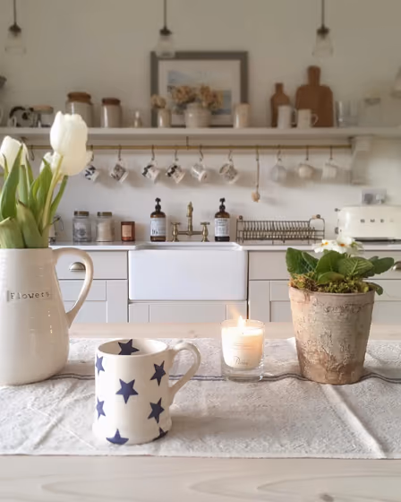 Farrow and Ball Shaded White 201 kitchen cabinets