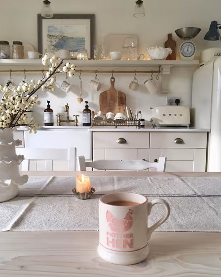 Farrow and Ball Shaded White 201 kitchen cabinets