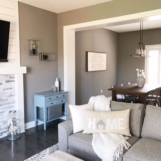 Sherwin Williams Dovetail grey living room interior