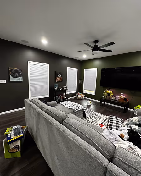 Sw 6181 Living Room Accent Wall