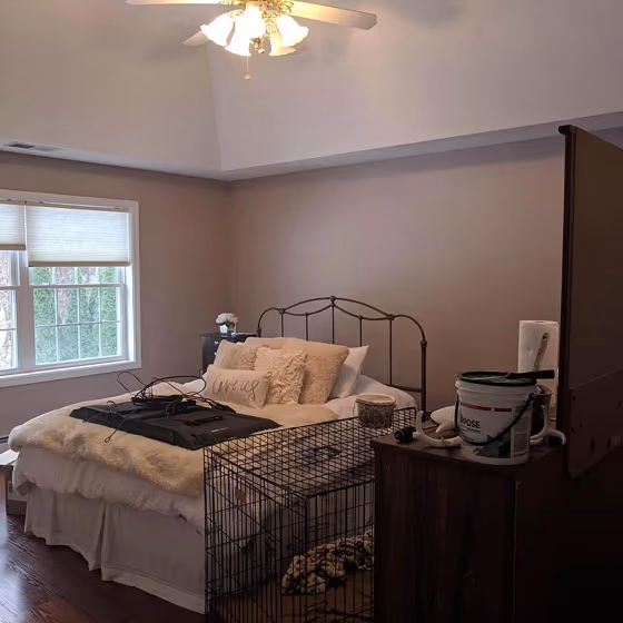 Temperate Taupe bedroom interior