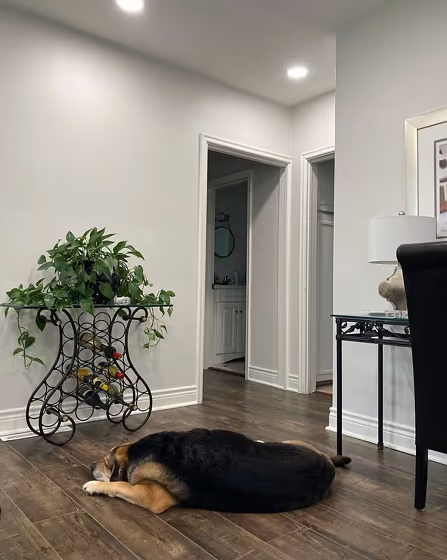 Silver Satin Benjamin Moore interior hallway