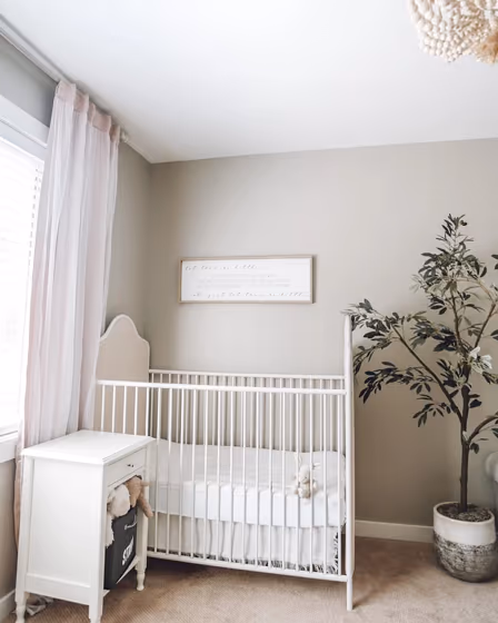 Sw skyline steel nursery