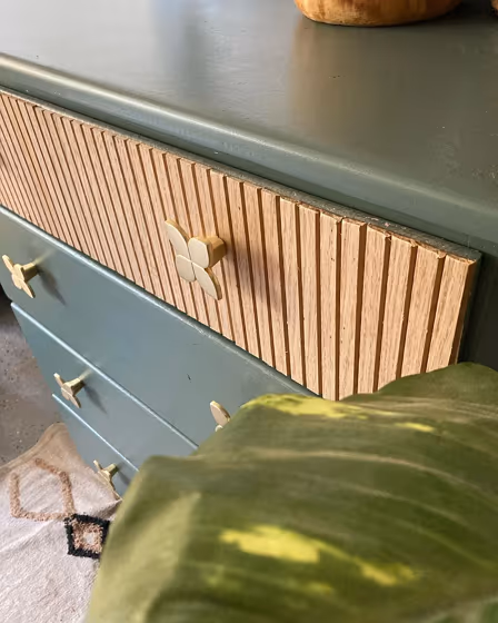 SW Succulent painted furniture color