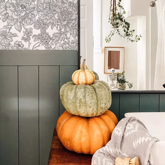 SW Succulent bathroom paint