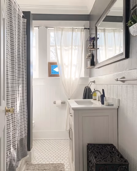 SW Succulent bathroom paint