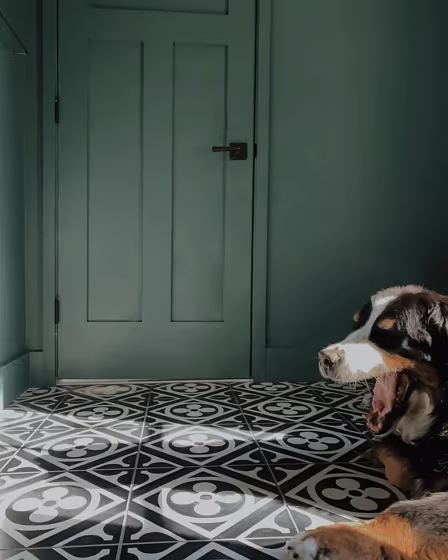 SW Succulent bathroom paint