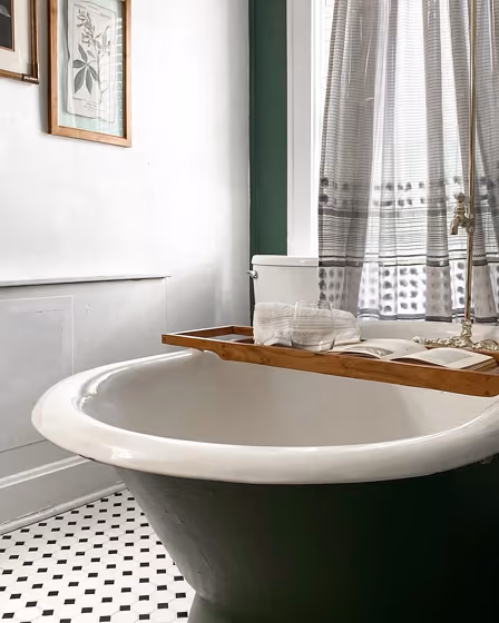 Sherwin Williams Succulent bathroom interior idea