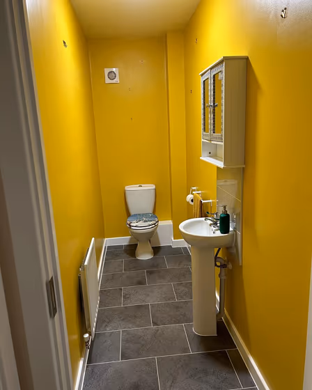 Dulux Sun Dust 2 bathroom color