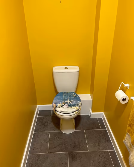 Dulux 30YY 49/562 bathroom paint