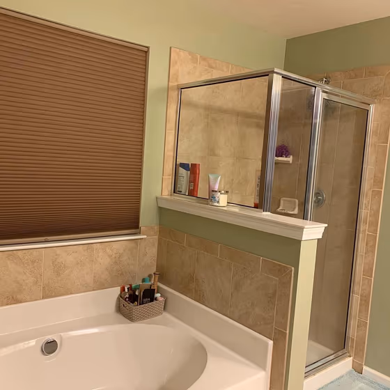 Sherwin Williams Svelte Sage Bathroom