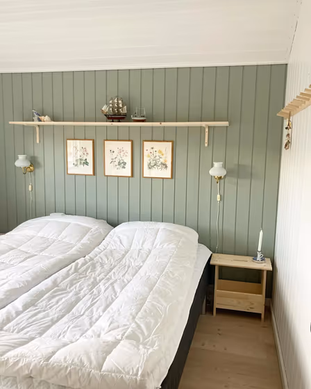 Jotun Treasure bedroom accent wall paint review