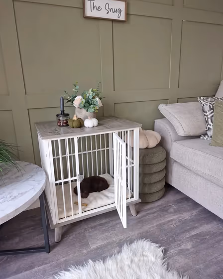 Treron living room paint review