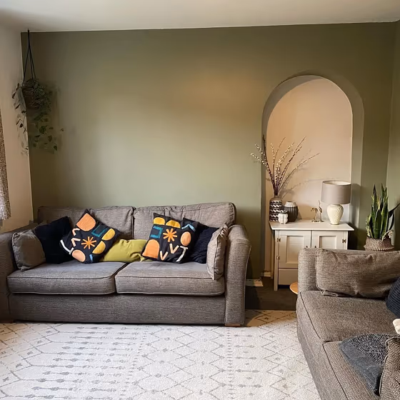 Treron living room paint