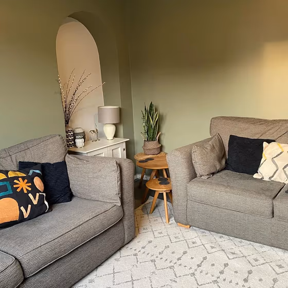 Treron living room paint review