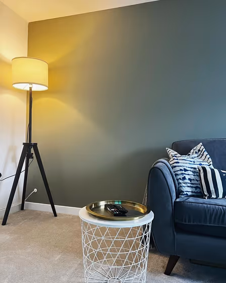 Treron living room makeover