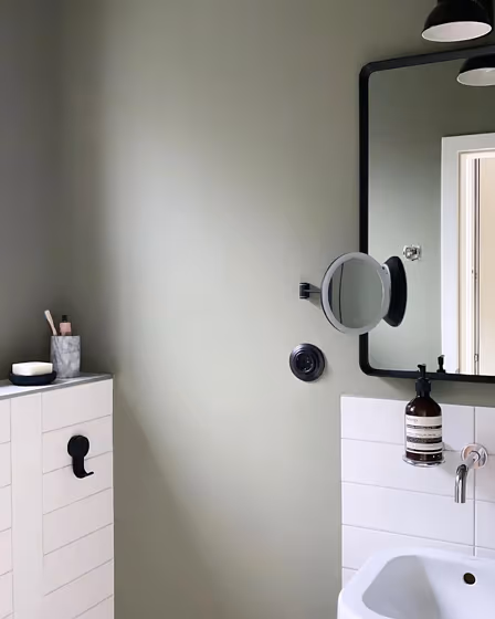 Treron bathroom inspiration