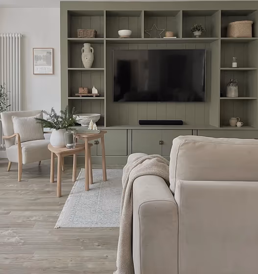 Treron living room paint review