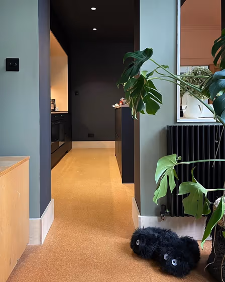 Treron hallway review