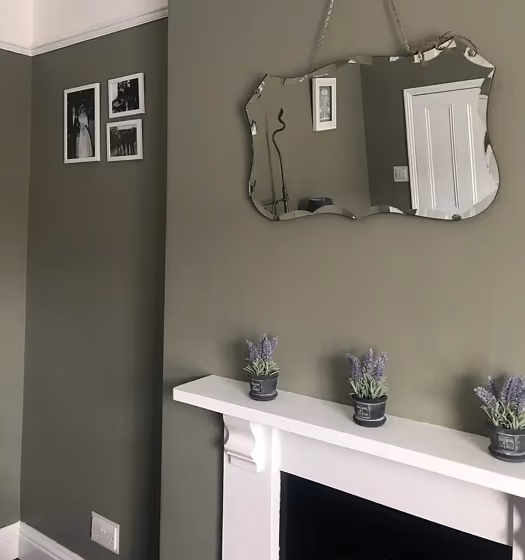 Farrow and Ball 292 living room fireplace color review