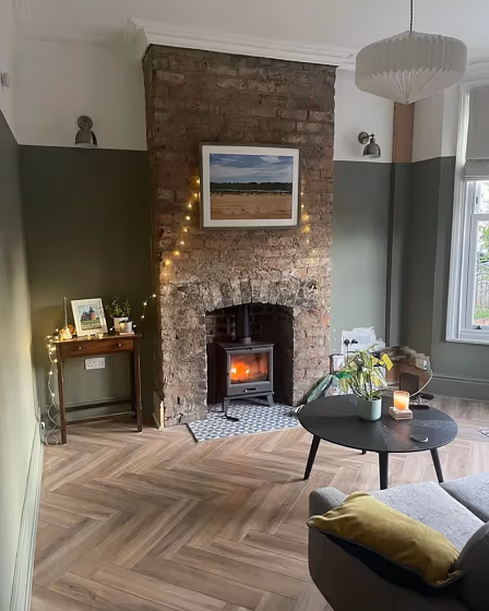 Treron living room fireplace paint