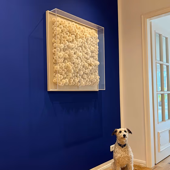 RAL Classic Ultramarine blue RAL 5002 wall