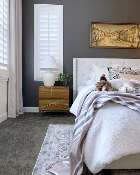 SW Urbane Bronze bedroom accent wall