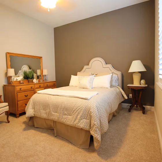 Sw Warm Stone Accent Wall